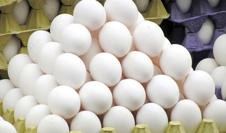 نرخ هر کیلو تخم مرغ ۴۷.۳۰۰ تومان اعلام شد,